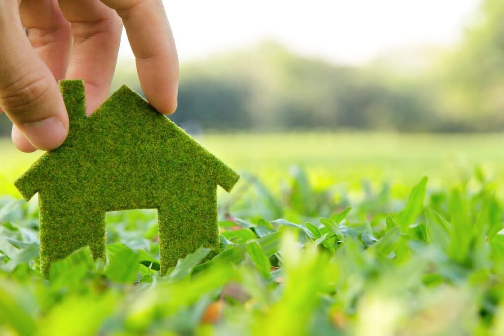 Eco friendly rentals